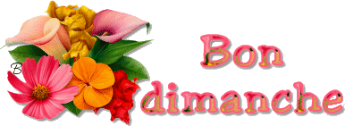 bon dimanche 2.gif